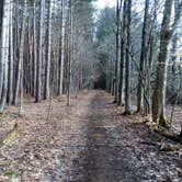 Review photo of Allegany Parallel Bova Loops — Allegany State Park State Park by Danielle S., March 31, 2018