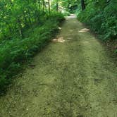 Review photo of Eden Valley Refuge by Carissa V., July 29, 2020