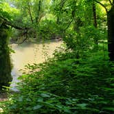 Review photo of Eden Valley Refuge by Carissa V., July 29, 2020