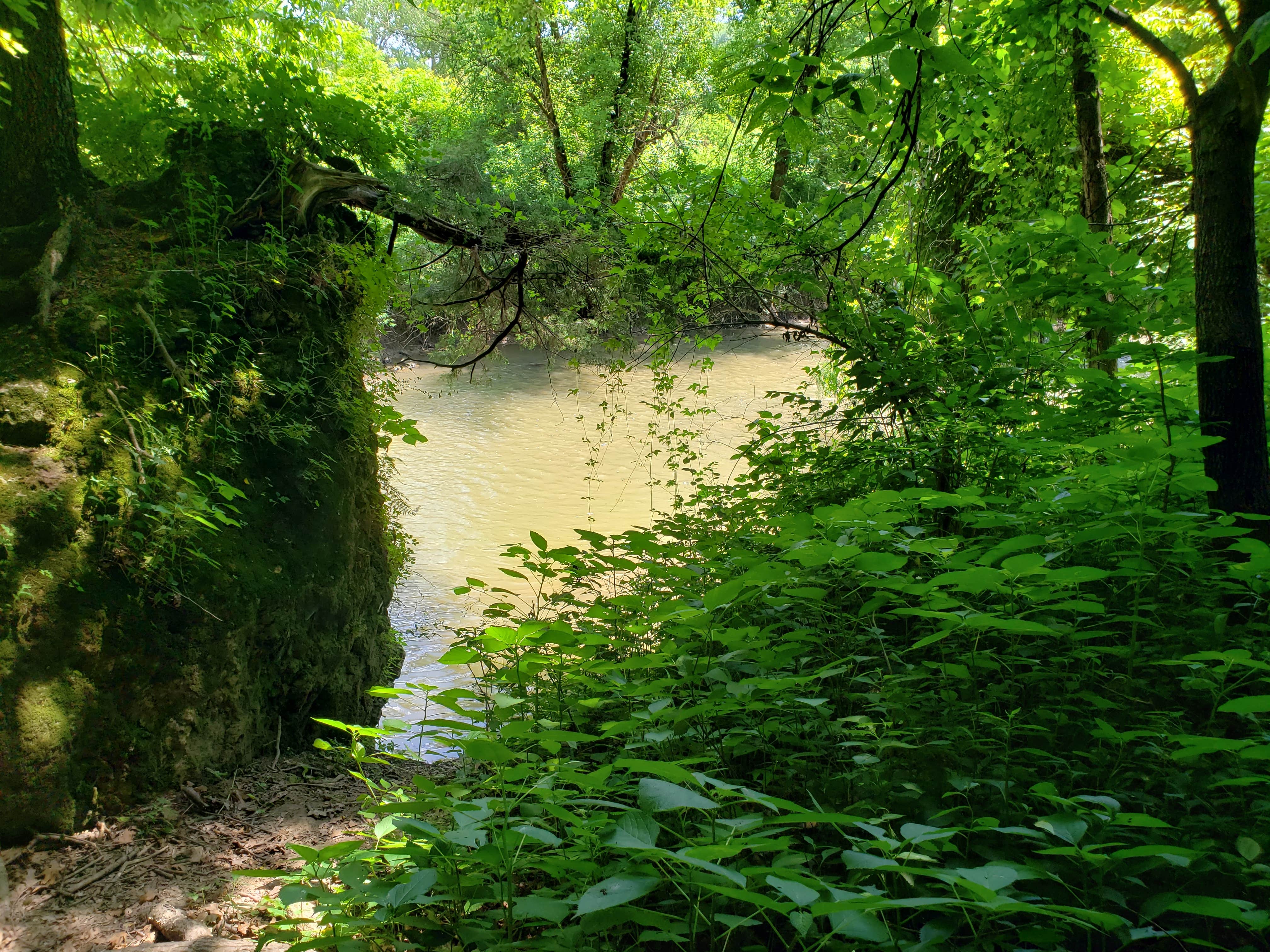 Camper submitted image from Eden Valley Refuge - 4