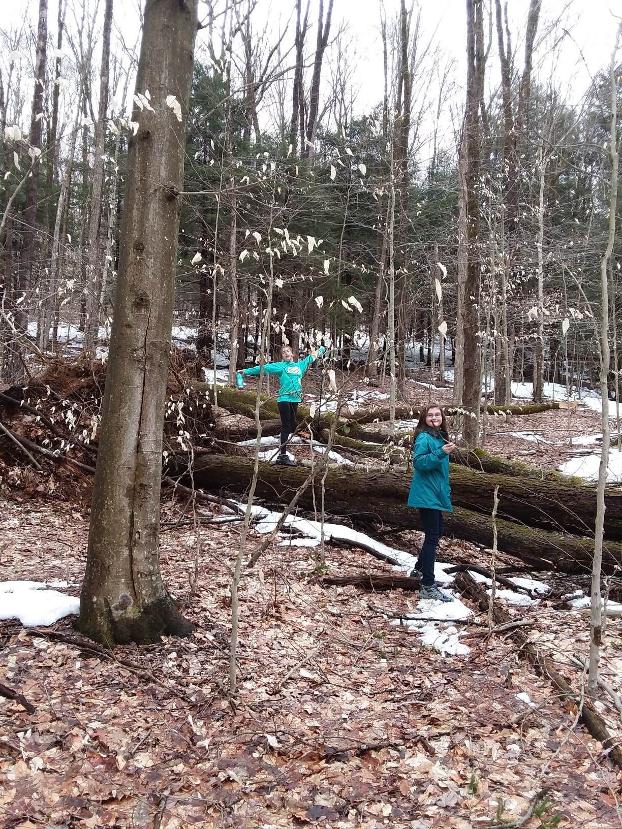 Camper-submitted photo at Bova Cottages — Allegany State Park near Hunt, NY