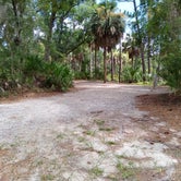 Review photo of Hunting Island State Park Campground by Courtney B., July 29, 2020