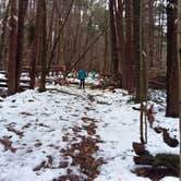 Review photo of Allegany Parallel Bova Loops — Allegany State Park State Park by Danielle S., March 31, 2018