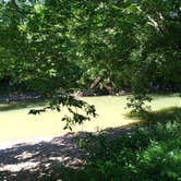 Review photo of Hocking Hills Camping & Canoe by Patty C., July 30, 2020