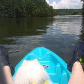 Review photo of Lake Catherine State Park Campground by Patty C., July 30, 2020