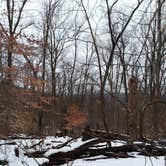 Review photo of Allegany Parallel Bova Loops — Allegany State Park State Park by Danielle S., March 31, 2018