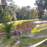 Review photo of Barnwell State Park Campground by Courtney B., July 30, 2020