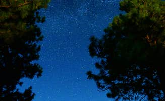 Shay F.'s photo of a dispersed camping area at L.T. Murray Wildlife Area near Cle Elum, WA