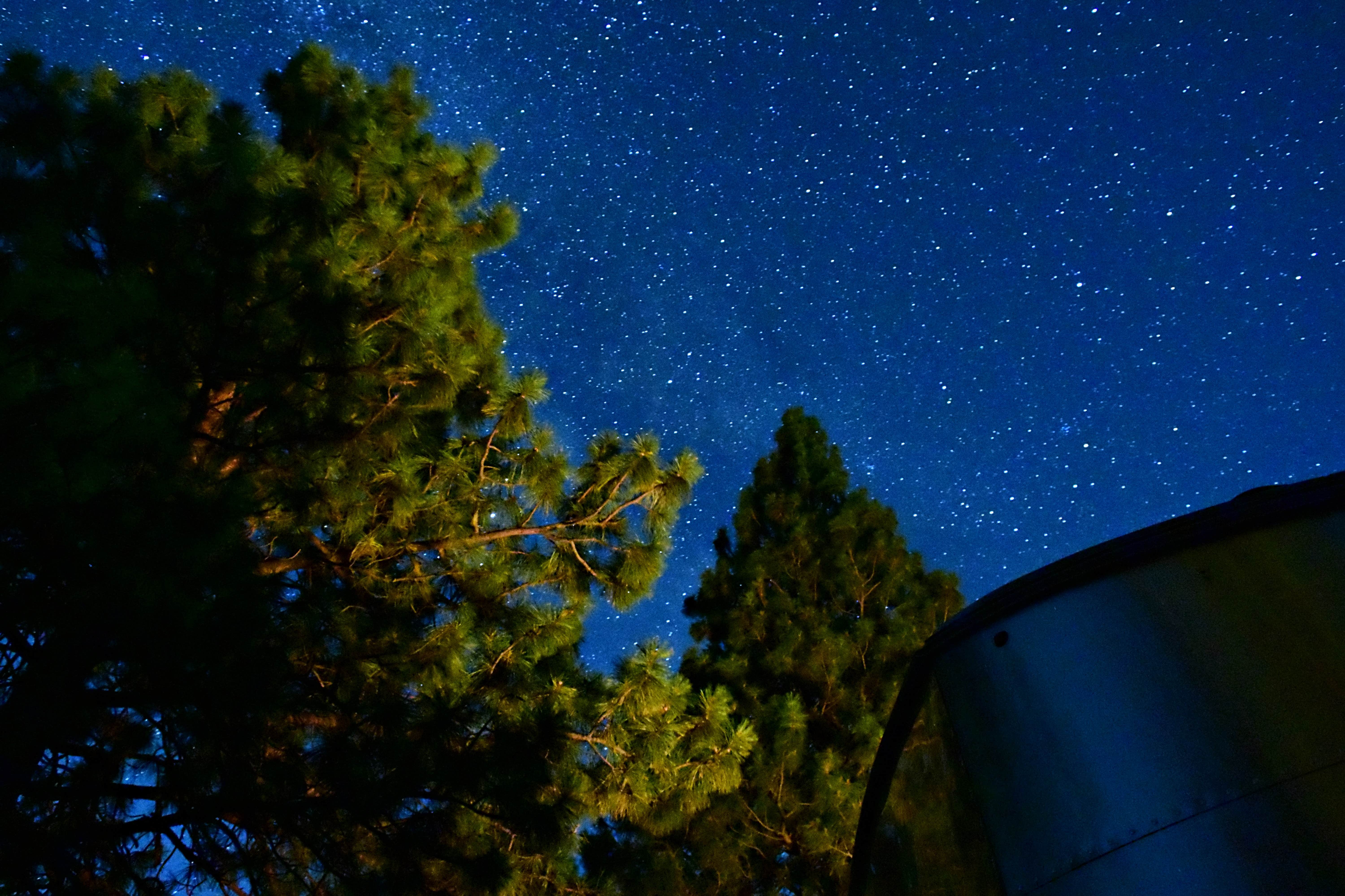 Shay F.'s photo of a dispersed camping area at L.T. Murray Wildlife Area near South Cle Elum, WA