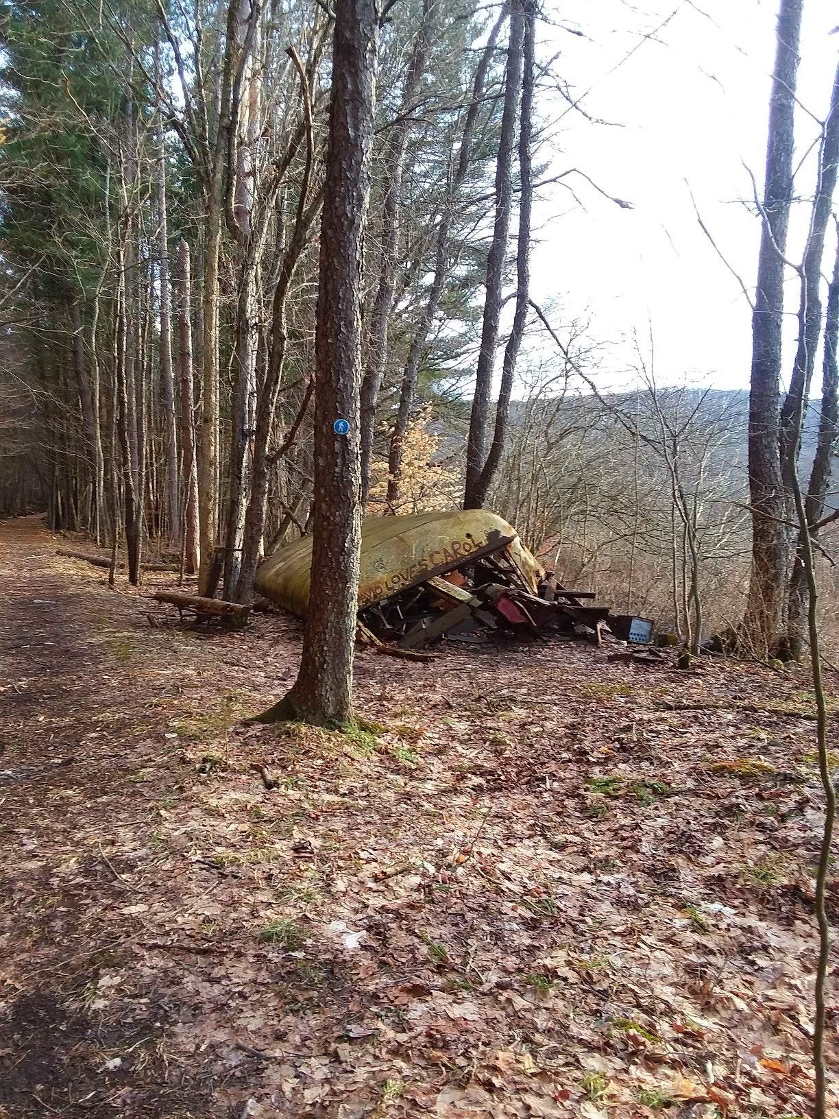 Camper submitted image from Allegany Parallel Bova Loops — Allegany State Park State Park - 1