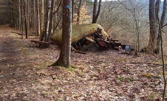 Camping near Red Oak Campground: Allegany Parallel Bova Loops — Allegany State Park State Park, Steamburg, New York