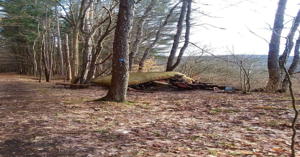 Bova Cottages — Allegany State Park