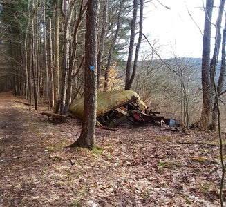 Camper-submitted photo from Allegany Parallel Bova Loops — Allegany State Park State Park