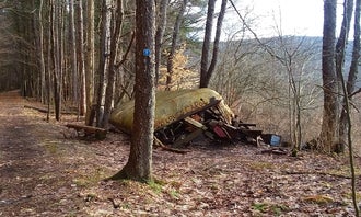 Camping near Willow Bay Recreation Area: Allegany Parallel Bova Loops — Allegany State Park State Park, Steamburg, New York