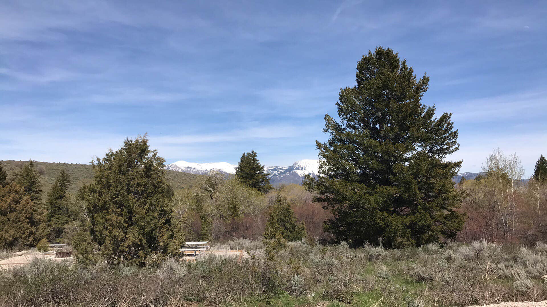 Nature