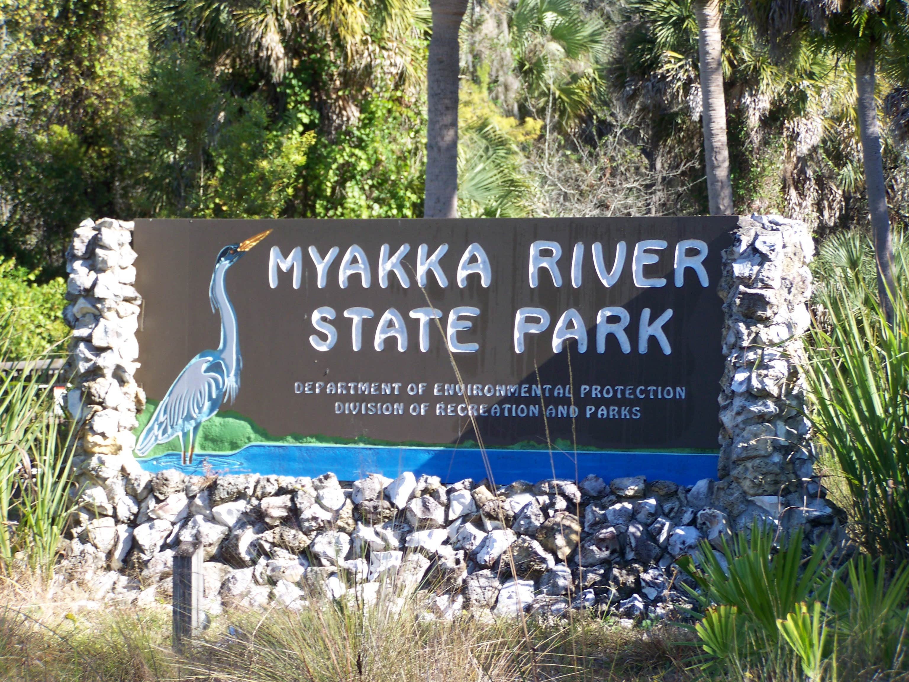 Camper-submitted photo at Palmetto Ridge Campground — Myakka River State Park near Arcadia, FL