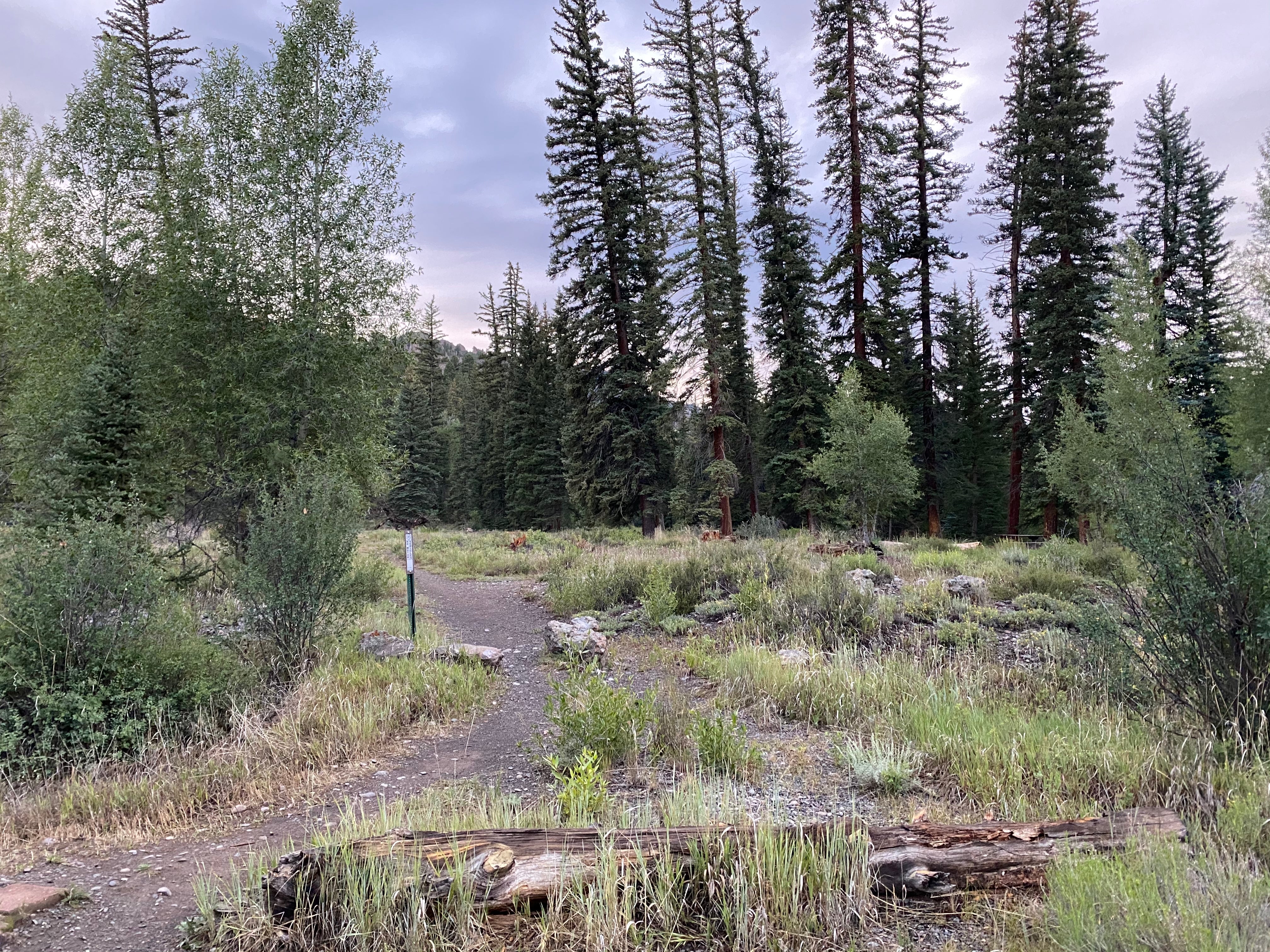 Camper submitted image from Gunnison National Forest Soap Creek Campground - 2