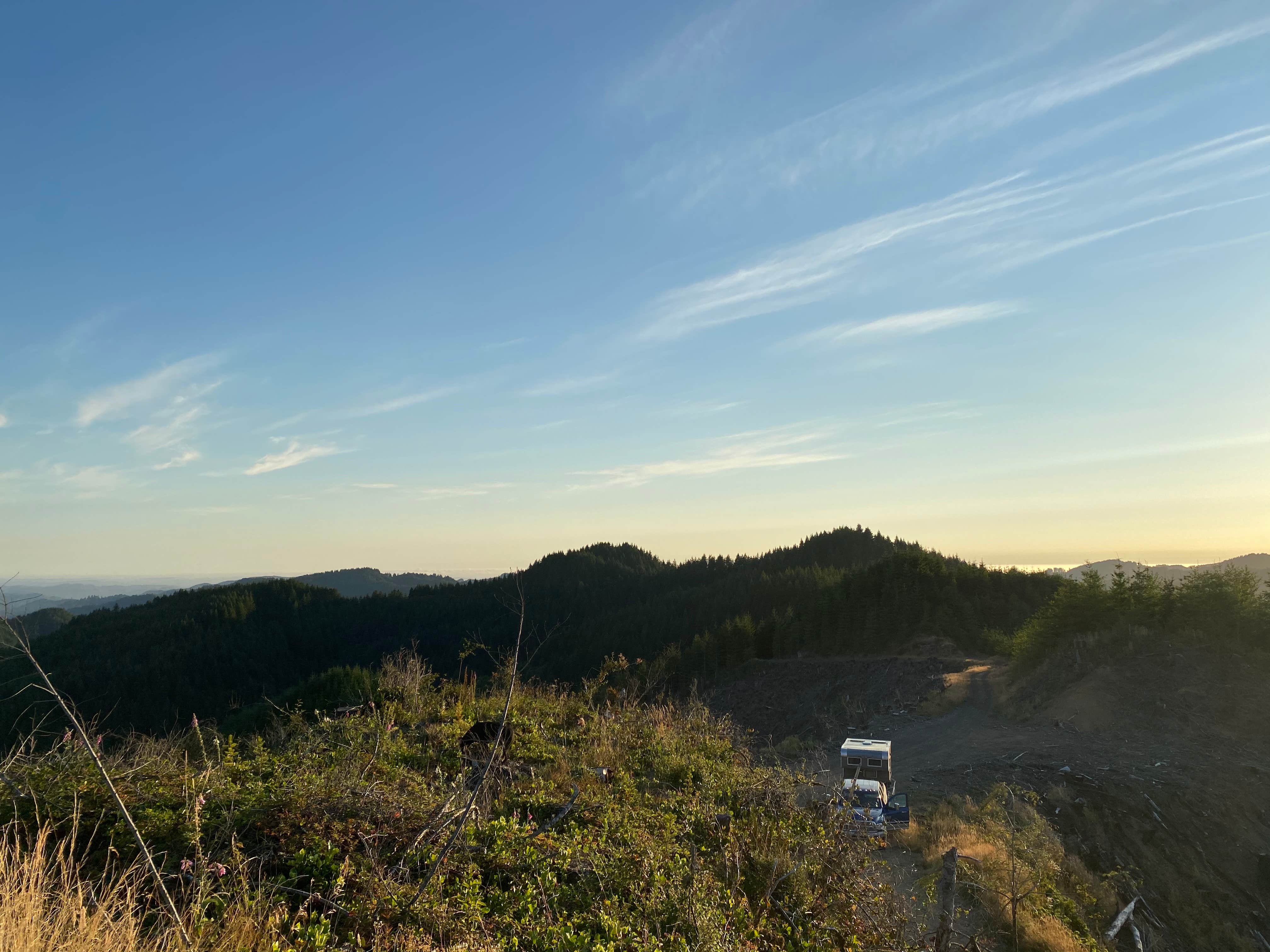 Camper submitted image from Elliott State Forest Dispersed - 3