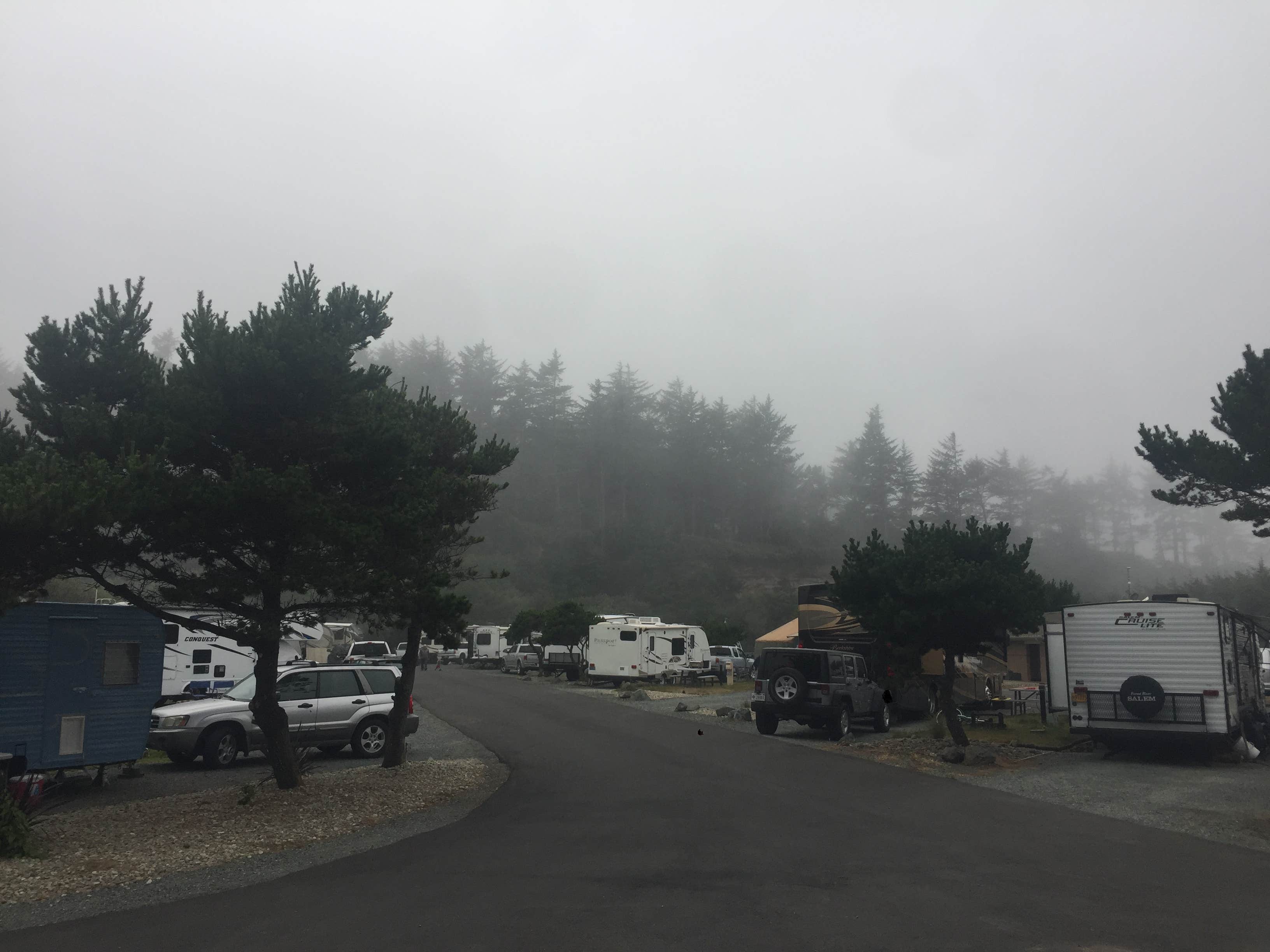 Camper submitted image from Sun Outdoors Coos Bay - 3