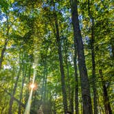 Review photo of Breaks Interstate Park Campground by Shari  G., July 30, 2020