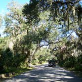 Review photo of Palmetto Ridge Campground — Myakka River State Park by Jeanene A., July 4, 2016