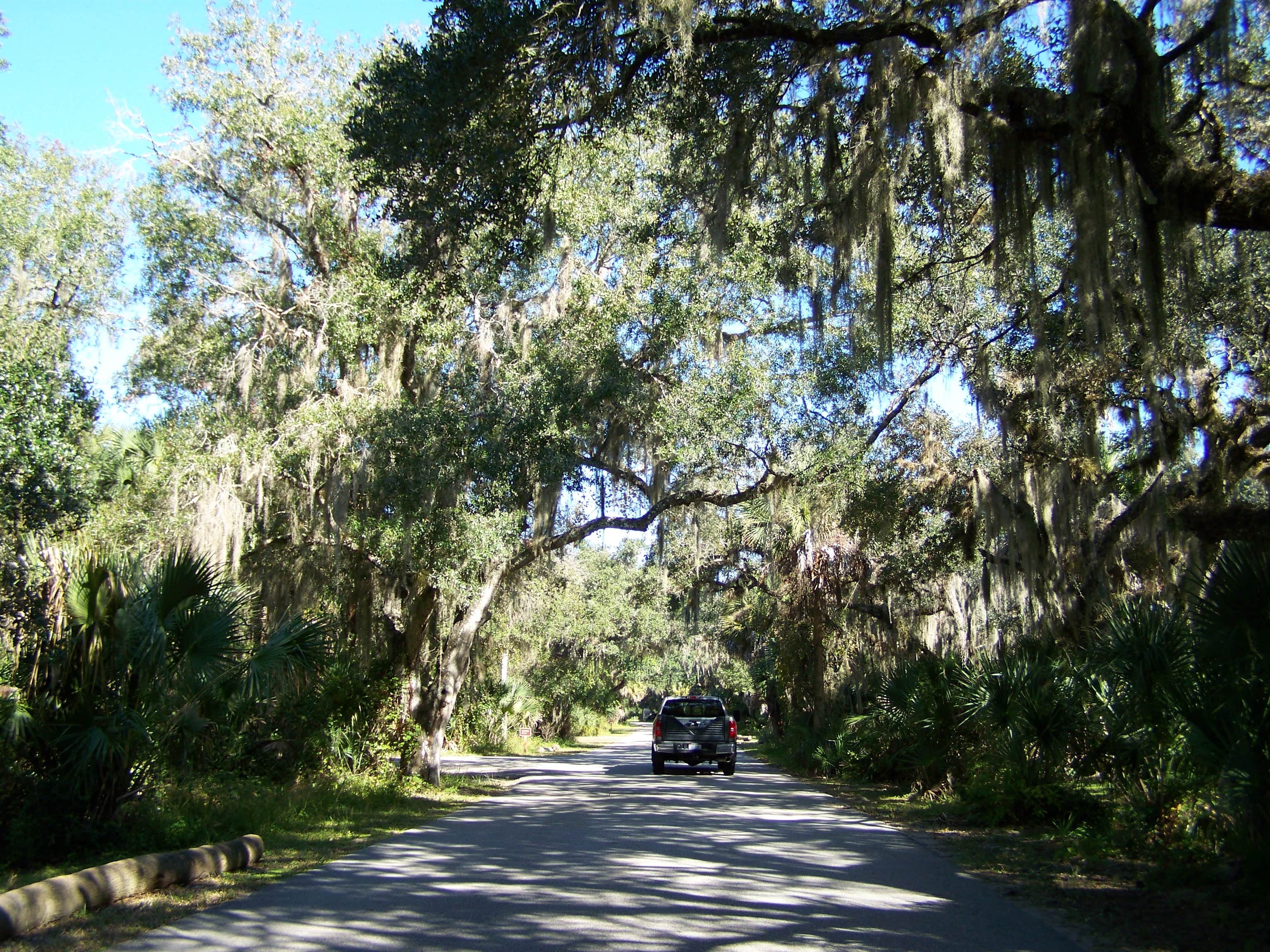 Camper submitted image from Palmetto Ridge Campground — Myakka River State Park - 2
