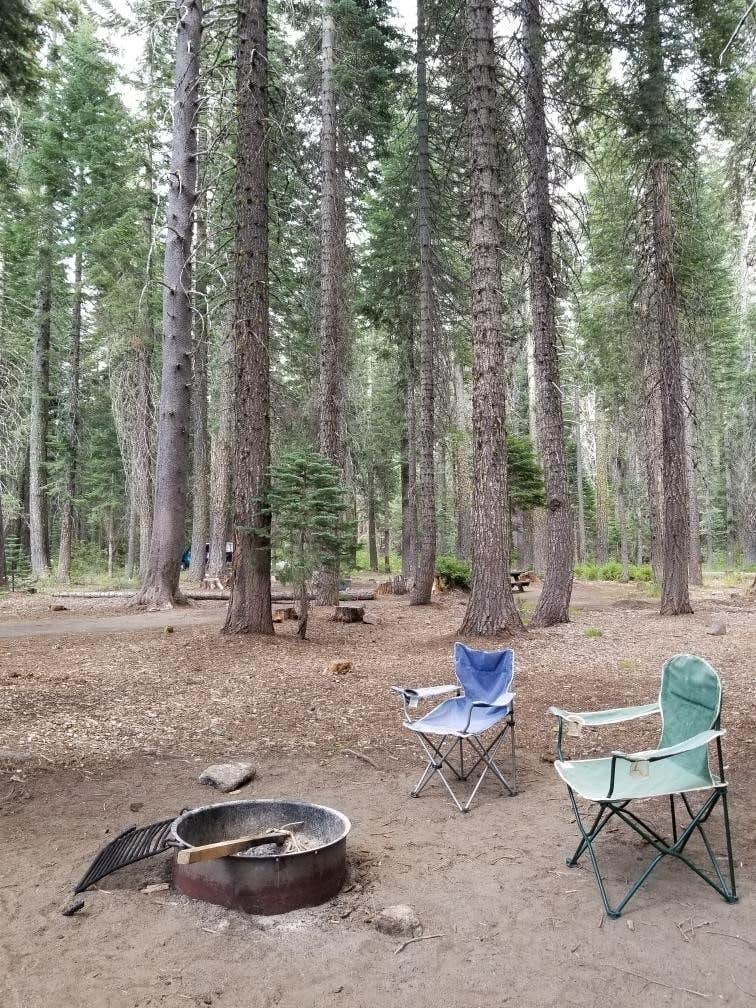 Camper submitted image from Whitehorse Campground - Bucks Lake Recreation Area - 4