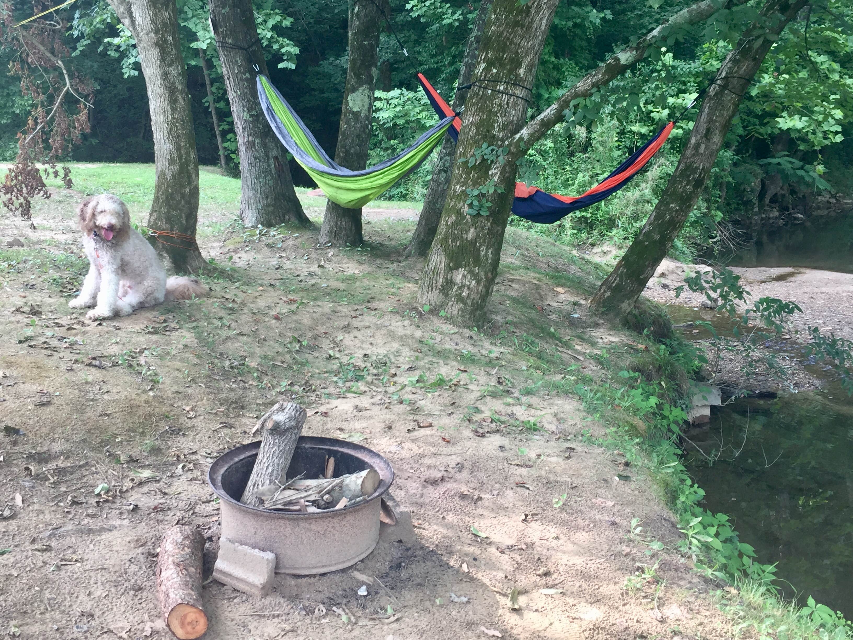 Camper submitted image from Natural Bridge Campground - 3