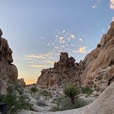 Review photo of Indian Cove Campground — Joshua Tree National Park by Corey M., July 30, 2020