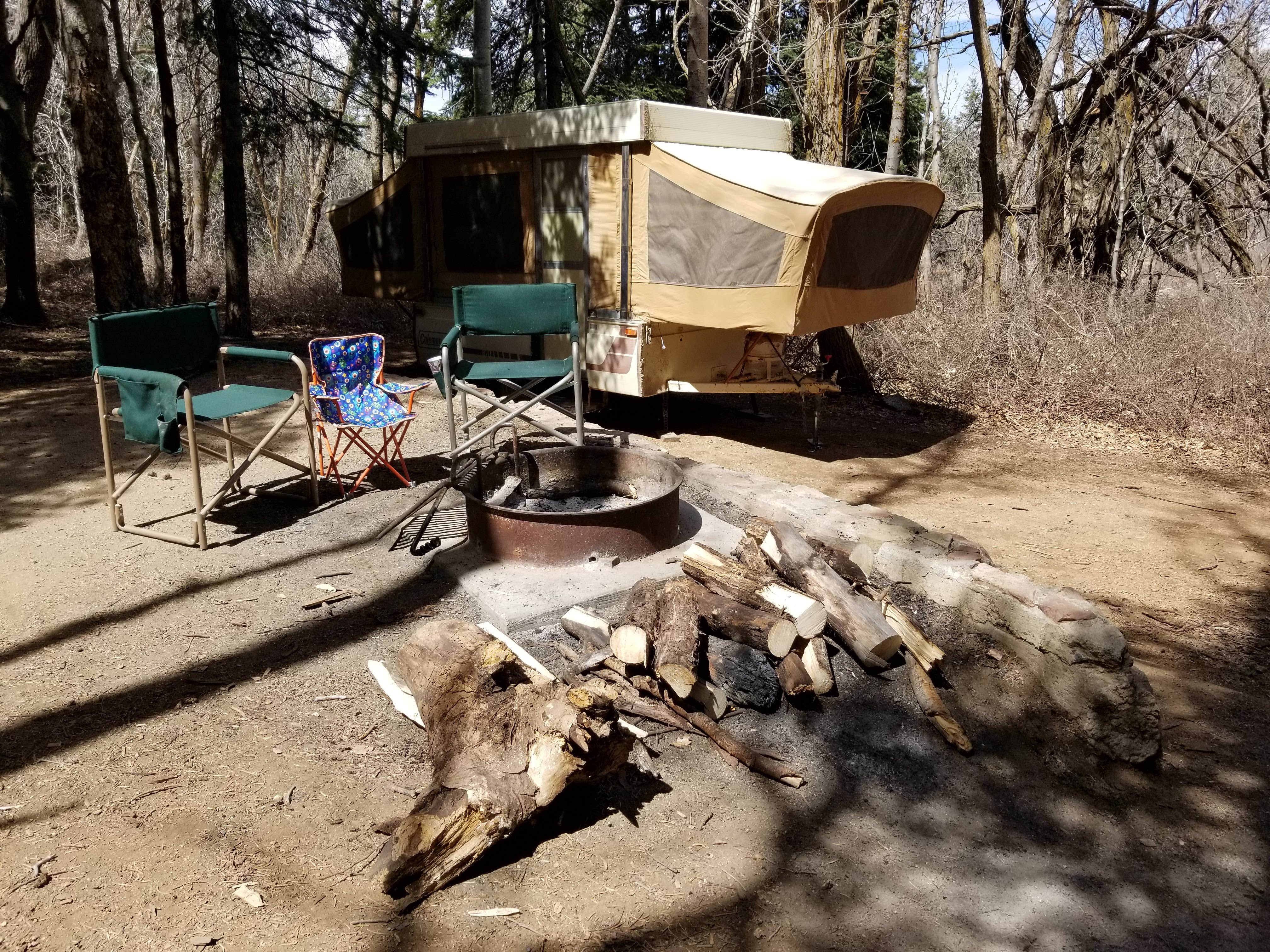 Camper submitted image from Upper Pinal Campground - 5