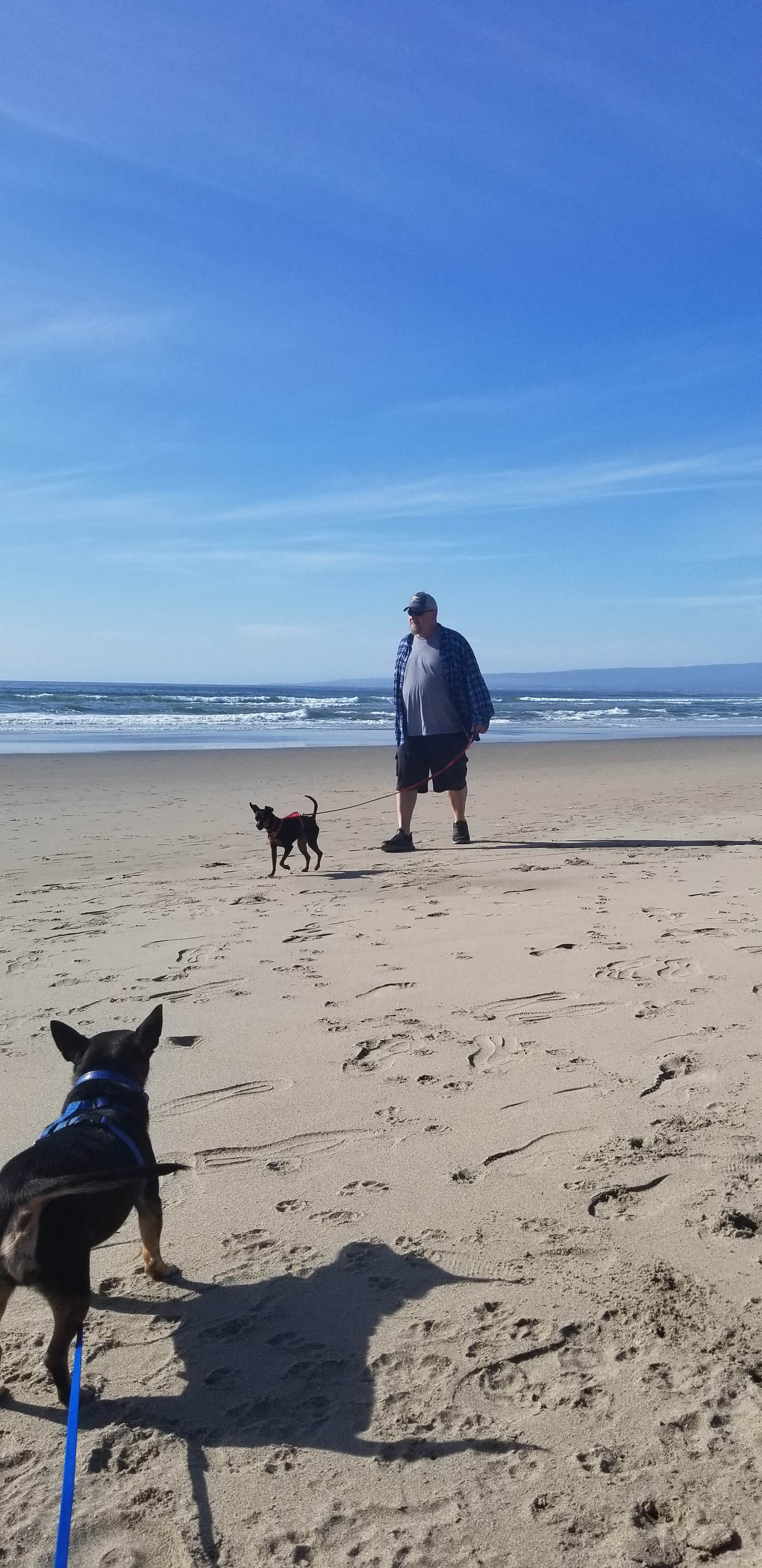 Carina B.'s photo of camping with pets at Sunset State Beach near Monterey, CA