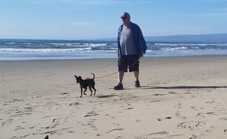 Carina B.'s photo of camping with pets at Sunset State Beach near Hollister, CA