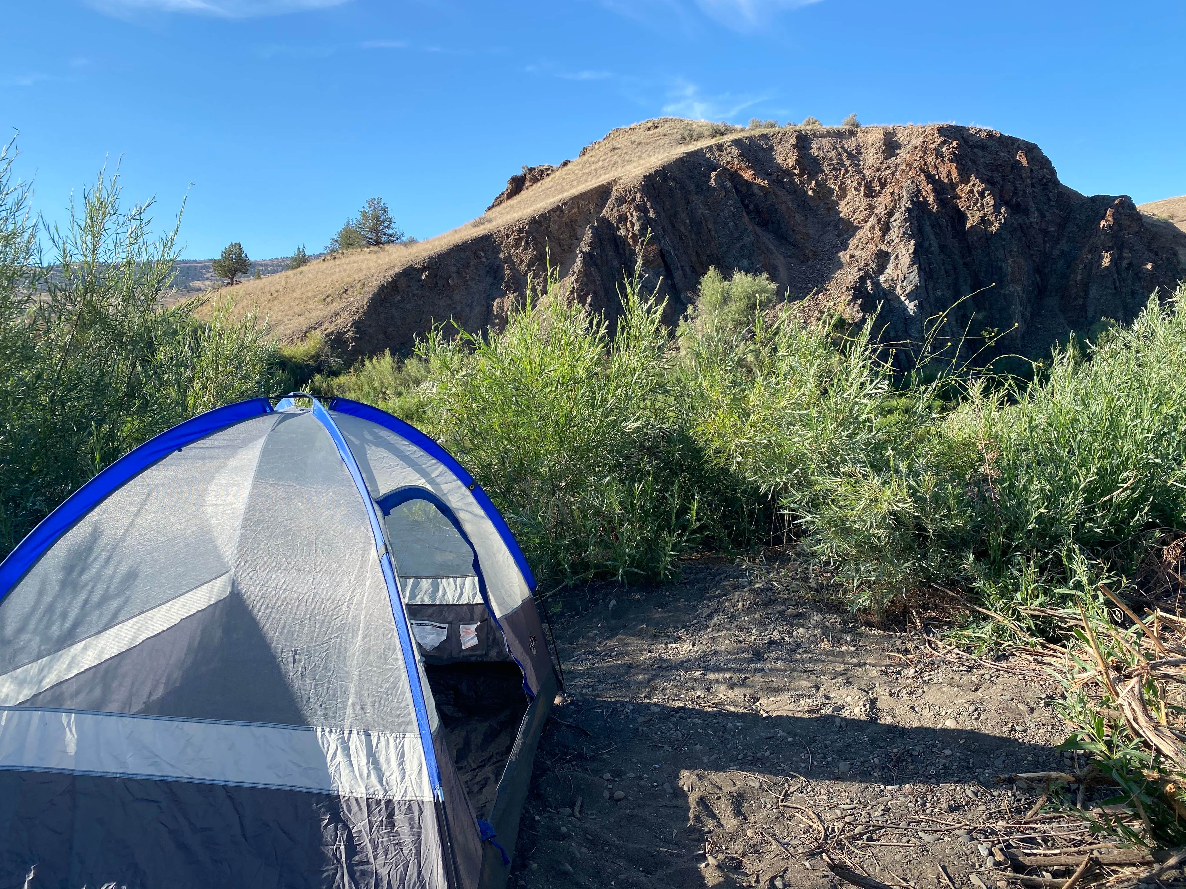 Camper submitted image from BLM John Day River - Priest Hole - 5