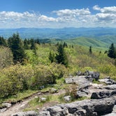 Review photo of Hickory Ridge Campground — Grayson Highlands State Park by Jesse S., July 30, 2020