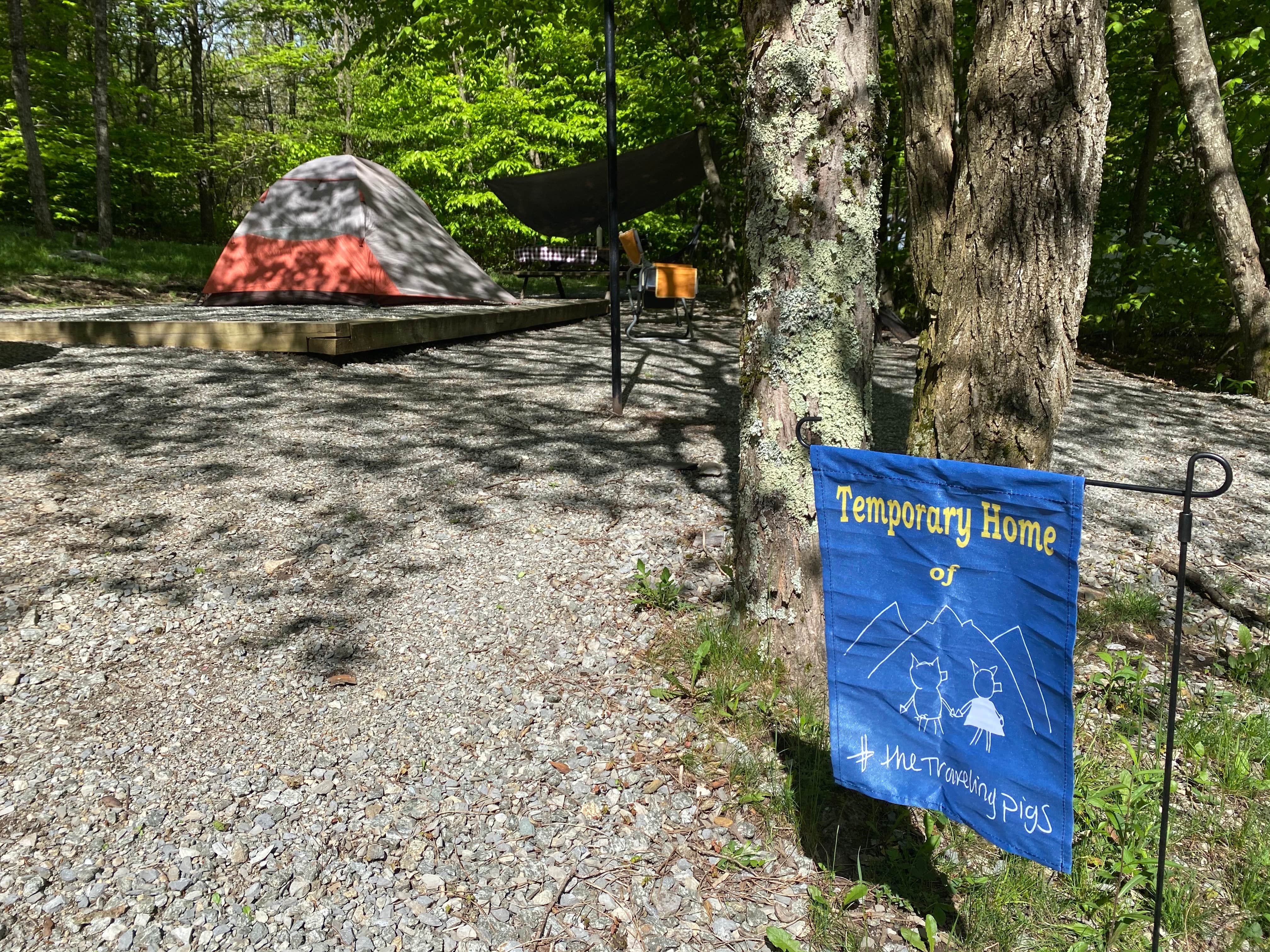 Jesse S.'s photo at Hickory Ridge Campground — Grayson Highlands State Park near Laurel Bloomery, TN