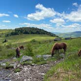 Review photo of Hickory Ridge Campground — Grayson Highlands State Park by Jesse S., July 30, 2020