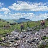 Review photo of Grayson Highlands State Park Campground by Jesse S., July 30, 2020