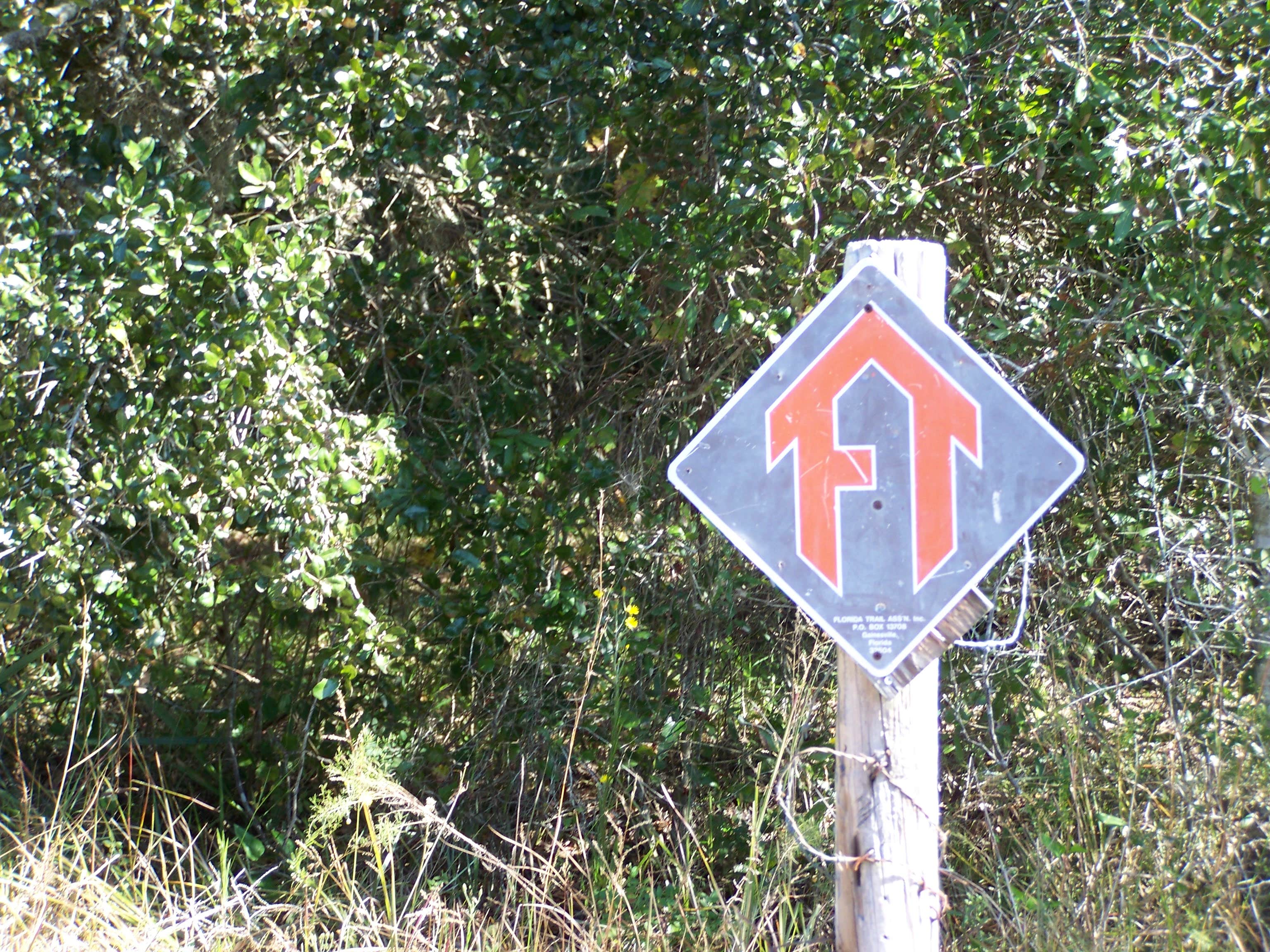 Camper-submitted photo at Palmetto Ridge Campground — Myakka River State Park near Gulfport, FL