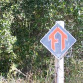Review photo of Palmetto Ridge Campground — Myakka River State Park by Jeanene A., July 4, 2016