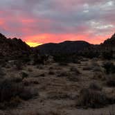 Review photo of Indian Cove Campground — Joshua Tree National Park by Jesse S., July 30, 2020