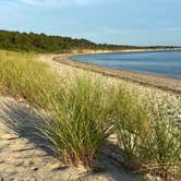 Review photo of Kiptopeke State Park Campground by Jesse S., July 30, 2020