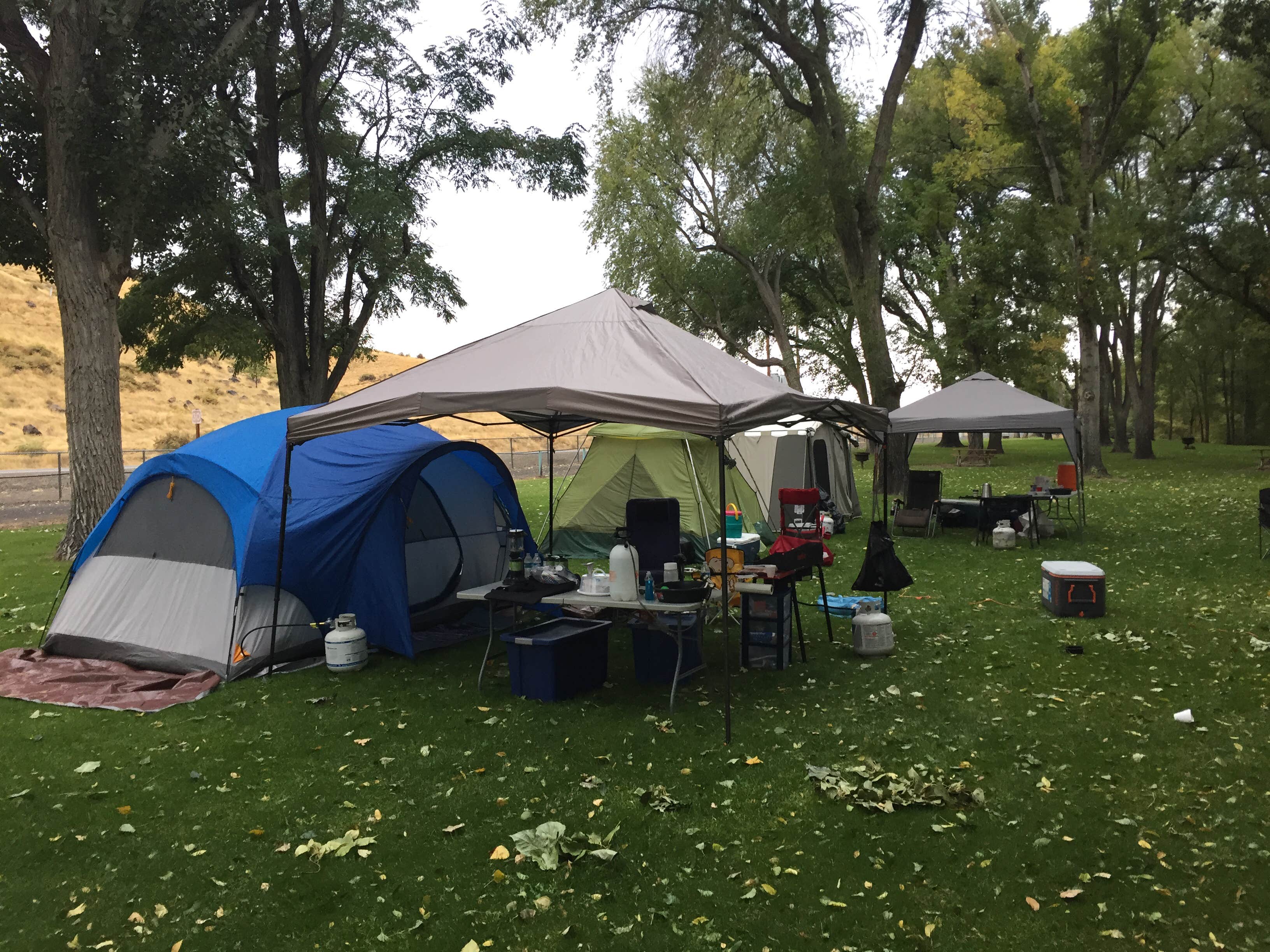 Camper submitted image from 1000 Springs Resort - 3