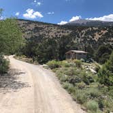 Review photo of Baker Creek Campground — Great Basin National Park by Thomas B., July 17, 2020