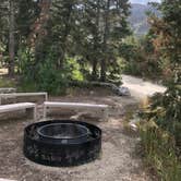 Review photo of Baker Creek Campground — Great Basin National Park by Thomas B., July 17, 2020