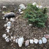 Review photo of Baker Creek Campground — Great Basin National Park by Thomas B., July 17, 2020