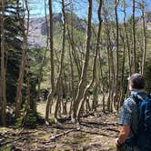 Review photo of Baker Creek Campground — Great Basin National Park by Thomas B., July 17, 2020