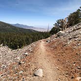 Review photo of Baker Creek Campground — Great Basin National Park by Thomas B., July 17, 2020