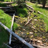 Review photo of Baker Creek Campground — Great Basin National Park by Thomas B., July 17, 2020