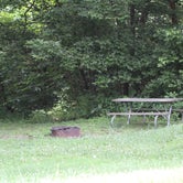 Review photo of Forked Run State Park Campground by Bobbi M., July 30, 2020