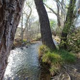 Review photo of Clear Creek Area Dispersed — Grand Canyon National Park by Levi V., April 3, 2018